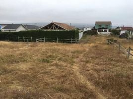  Land for sale in Petorca, Valparaiso, La Ligua, Petorca