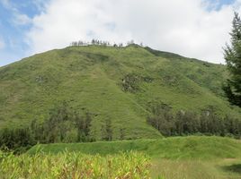  Land for sale in Ecuador, Ibarra, Imbabura, Ecuador