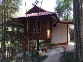  Hotel for sale in AsiaVillas, Pon, Thung Chang, Nan, Thailand