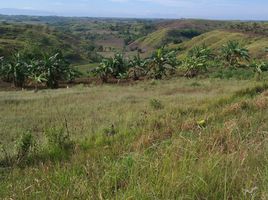  Land for sale in Isabela, Cagayan Valley, Ilagan City, Isabela
