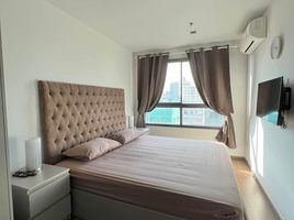 2 Schlafzimmer Appartement zu vermieten im Ideo Sukhumvit 93, Bang Chak