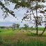  Land for sale in Chalong, Phuket Town, Chalong