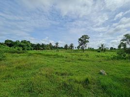  Land for sale in Chon Buri, Huai Yai, Pattaya, Chon Buri