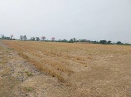  Land for sale in Chachoengsao, Bang Toei, Mueang Chachoengsao, Chachoengsao