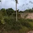  Land for sale in Pa Khlok, Phuket, Pa Khlok, Thalang