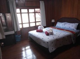 2 Schlafzimmer Haus zu vermieten im Shine of Hill Lamai, Maret