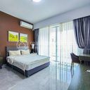 Fully Furnished 1 Bedroom Apartments for Rent | Central Area of Phnom Penh