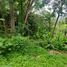  Land for sale in Chalong, Phuket Town, Chalong