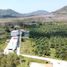  Land for sale in Thep Krasattri, Phuket, Thep Krasattri