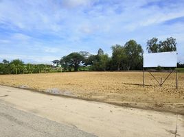  Land for sale in Phutthamonthon, Nakhon Pathom, Khlong Yong, Phutthamonthon