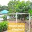 2 Bedroom House for sale in Si Bua Ban, Mueang Lamphun, Si Bua Ban