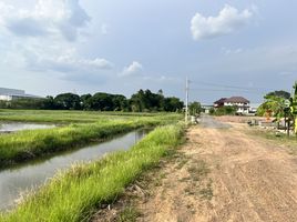  Land for sale in Surin, Salak Dai, Mueang Surin, Surin