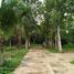 2 Bedroom House for sale in Loei, Nong Bua, Phu Ruea, Loei