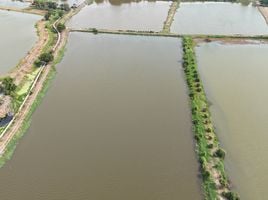 ขายที่ดิน ใน บางเสาธง สมุทรปราการ, บางเสาธง, บางเสาธง