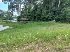  Grundstück zu verkaufen in Koh Samui, Surat Thani, Maret