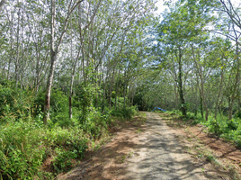  Land for sale in Thep Krasattri, Thalang, Thep Krasattri