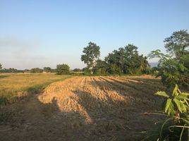  Land for sale in Doi Ngam, Phan, Doi Ngam