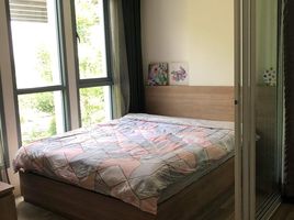 1 Schlafzimmer Wohnung zu verkaufen im Moniiq Sukhumvit 64, Bang Chak