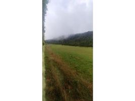  Land for sale in Araucania, Villarrica, Cautin, Araucania