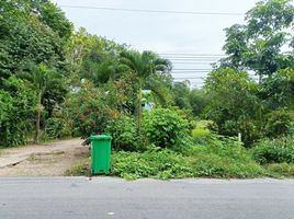  Grundstück zu verkaufen in Dau Tieng, Binh Duong, Dau Tieng, Dau Tieng