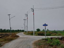  Land for sale in Bang Toei, Mueang Chachoengsao, Bang Toei