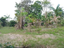  Land for sale in Presidente Figueiredo, Amazonas, Presidente Figueiredo, Presidente Figueiredo
