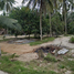  Land for sale in Surat Thani, Ko Pha-Ngan, Ko Pha-Ngan, Surat Thani