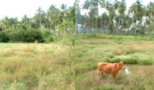 Земельный участок, N/A на продажу в Ko Lanta Yai, Краби 
