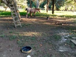  Grundstück zu verkaufen in Presidente Figueiredo, Amazonas, Presidente Figueiredo