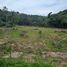  Land for sale in Bang Po Beach, Maenam, Maenam