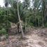  Land for sale in Samui Elephant Jungle Sanctuary Camp, Maenam, Maenam