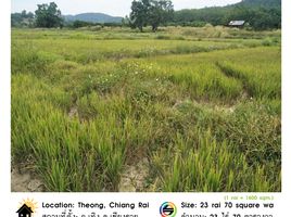  Land for sale in Thoeng, Chiang Rai, Ngio, Thoeng