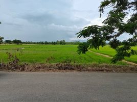  Land for sale in San Kamphaeng, Chiang Mai, Buak Khang, San Kamphaeng