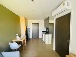 1 Bedroom Apartment for rent at Dolce Lasalle, Bang Na