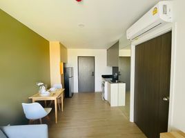 1 Bedroom Apartment for rent at Dolce Lasalle, Bang Na, Bang Na