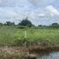  Land for sale in Lam Phak Chi, Nong Chok, Lam Phak Chi