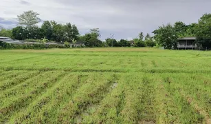 N/A Land for sale in Sa-Nga Ban, Chiang Mai 