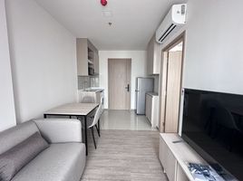 1 Bedroom Apartment for rent at NIA By Sansiri, Phra Khanong Nuea