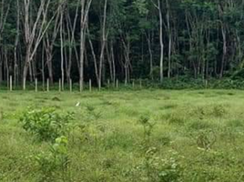  Land for sale in Phatthalung, Khao Chaison, Khao Chaison, Phatthalung