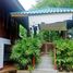  Land for sale in Den Chai Phrae, Mae Chua