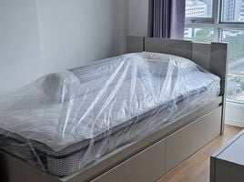 1 Schlafzimmer Wohnung zu vermieten im The Selected Kaset-Ngam Wongwan, Lat Yao, Chatuchak, Bangkok, Thailand