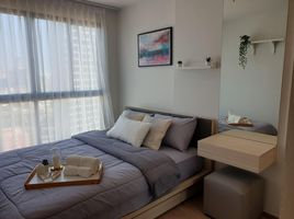 1 Schlafzimmer Appartement zu vermieten im Ideo O2, Bang Na, Bang Na, Bangkok