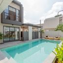 กาดฝรั่ง 8