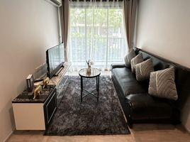 1 Bedroom Condo for rent at ZCAPE III, Wichit, Phuket Town, Phuket