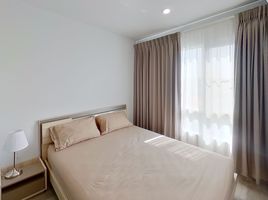 1 Bedroom Condo for rent at Regent Home Sukhumvit 97/1, Bang Chak