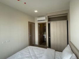 1 Schlafzimmer Wohnung zu vermieten im NIA By Sansiri, Phra Khanong Nuea, Watthana, Bangkok