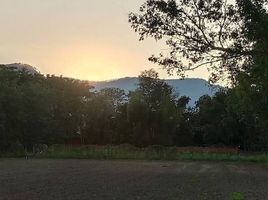  Grundstück zu verkaufen in Mae Rim, Chiang Mai, Mueang Kaeo, Mae Rim