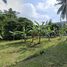  Land for sale in Bang Por Beach, Maenam, Maenam