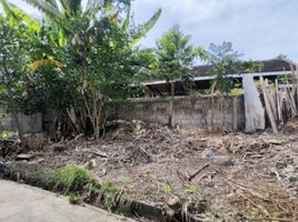 5 Schlafzimmer Villa zu vermieten in Mae Hia, Mueang Chiang Mai, Mae Hia