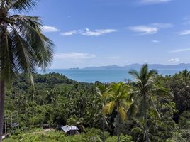  Grundstück zu verkaufen in Koh Samui, Surat Thani, Maenam, Koh Samui